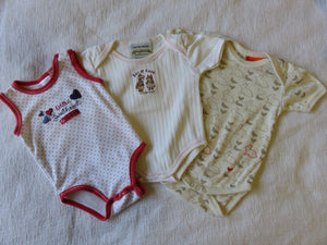 Pumpkin Patch Body Suit Size 0-3 Mths